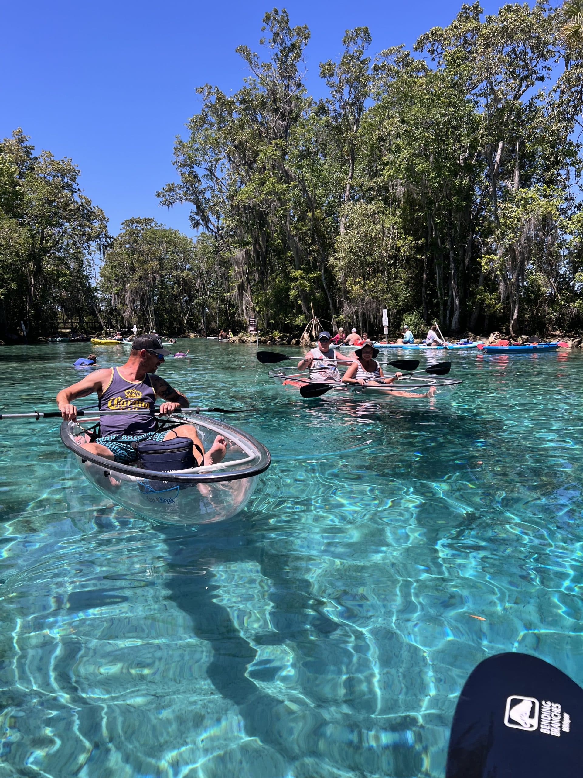 Kayaking in Three Sisters Springs | Kayak Rental Guide