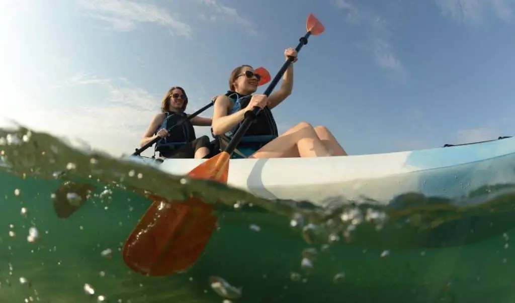 Kayak and Paddleboard Tours & Rentals