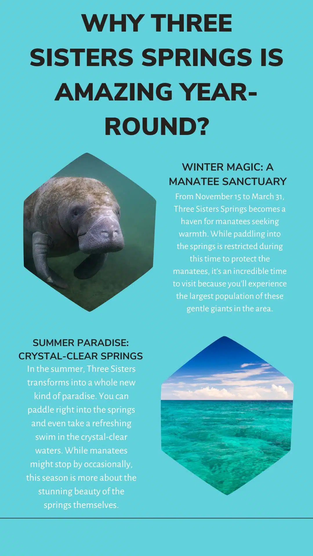 Why Three Sisters Springs is Amazing Year-Round