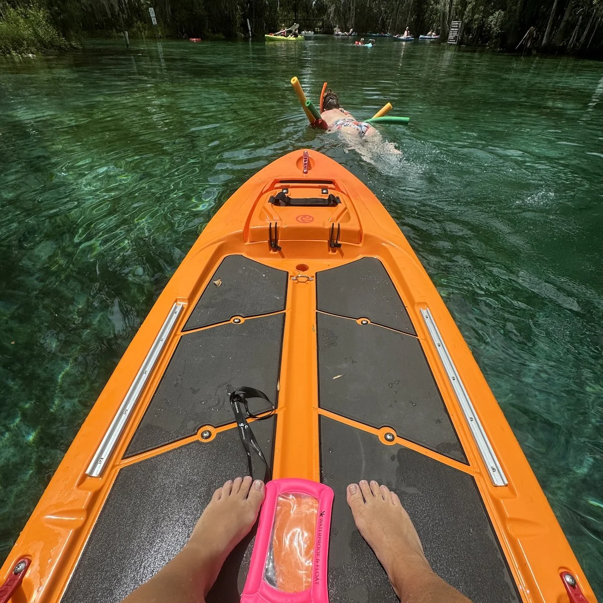 Paddle Board Rentals Crystal River | Explore with Our Rentals