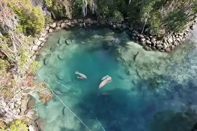 DJI_0413_Original-optimized-img2